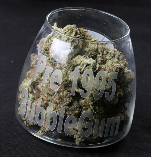 T.H. Seeds - Bubblegum (fem.)