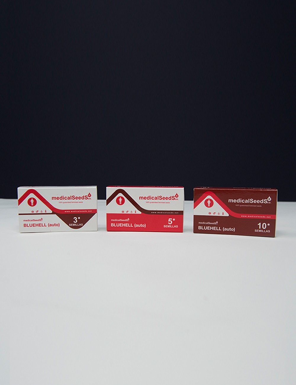 Medical Seeds - Bluehell Auto (auto/fem.)