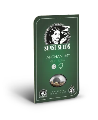 Sensi Seeds - Afghani #1 (reg.) 03929