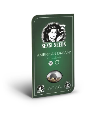 Sensi Seeds - American Dream (reg.) 03939