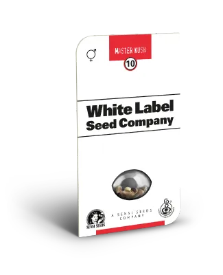 White Label Seeds - Master Kush (reg.) 🏆 03094