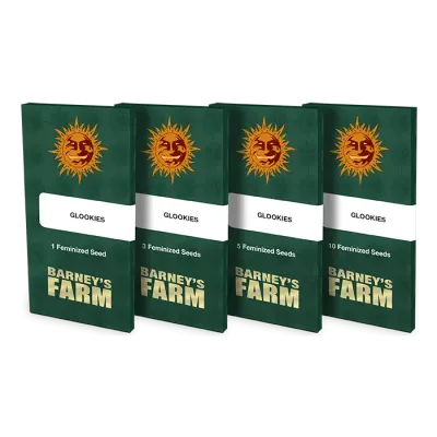 Barney's Farm - Glookies (fem.) 06387