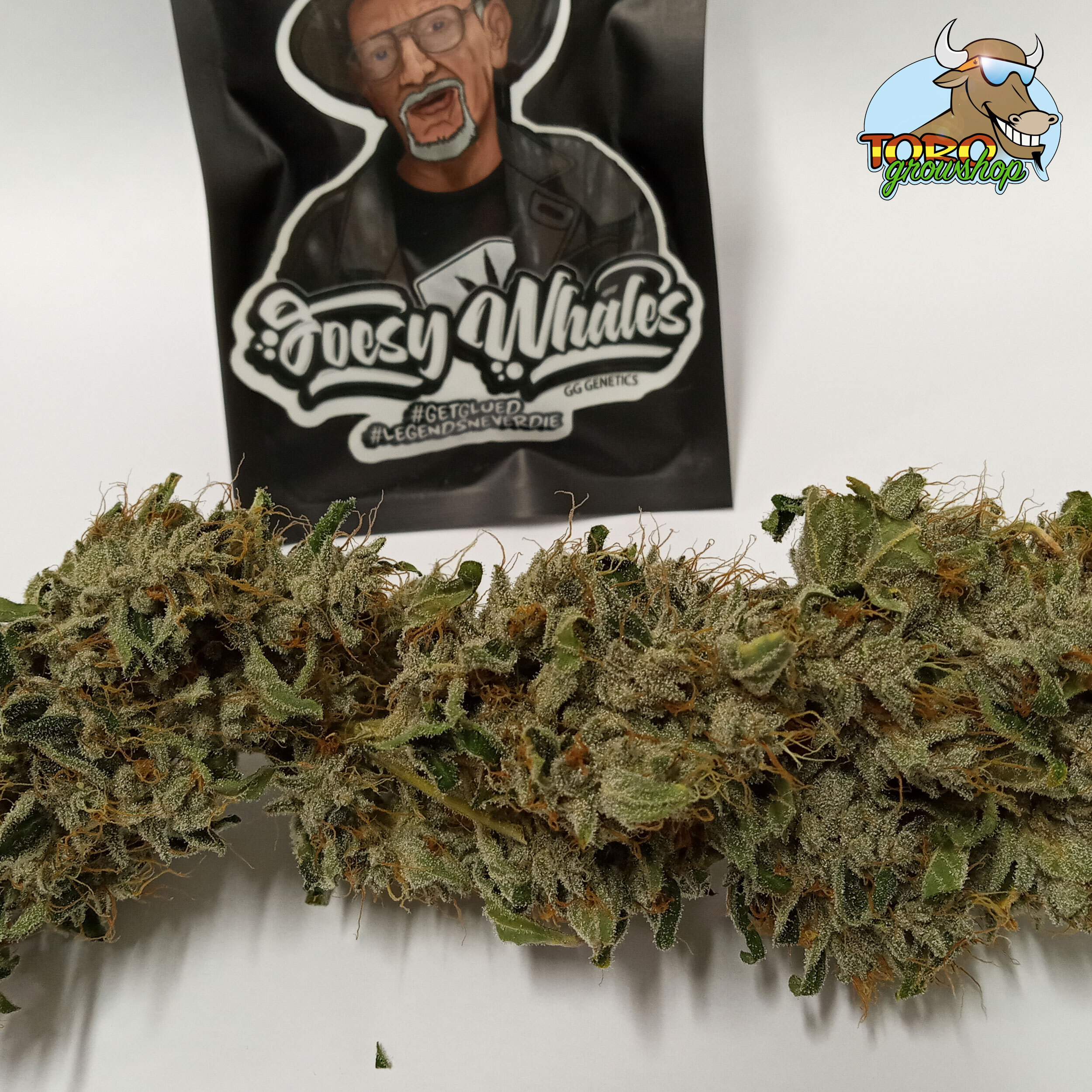 Шишки Original Gorilla Glue #4 aka GG4 выращенные в Toro Growshop. Сухая шишка.