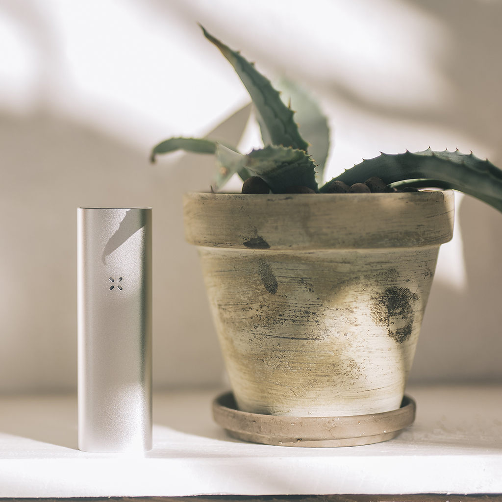 Компактный вапорайзер PAX Plus (для трав и концентратов)