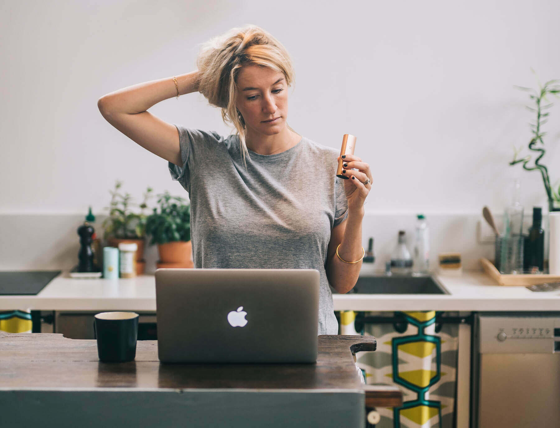 Компактный вапорайзер PAX Plus (для трав и концентратов)