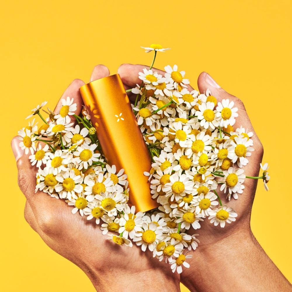 Компактный вапорайзер PAX Plus (для трав и концентратов)