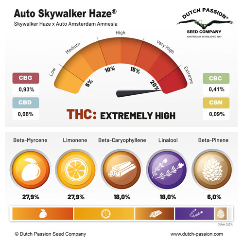 Dutch Passion - Auto Skywalker Haze (auto/fem.) Dutch Passion - Auto Skywalker Haze (auto/fem.)