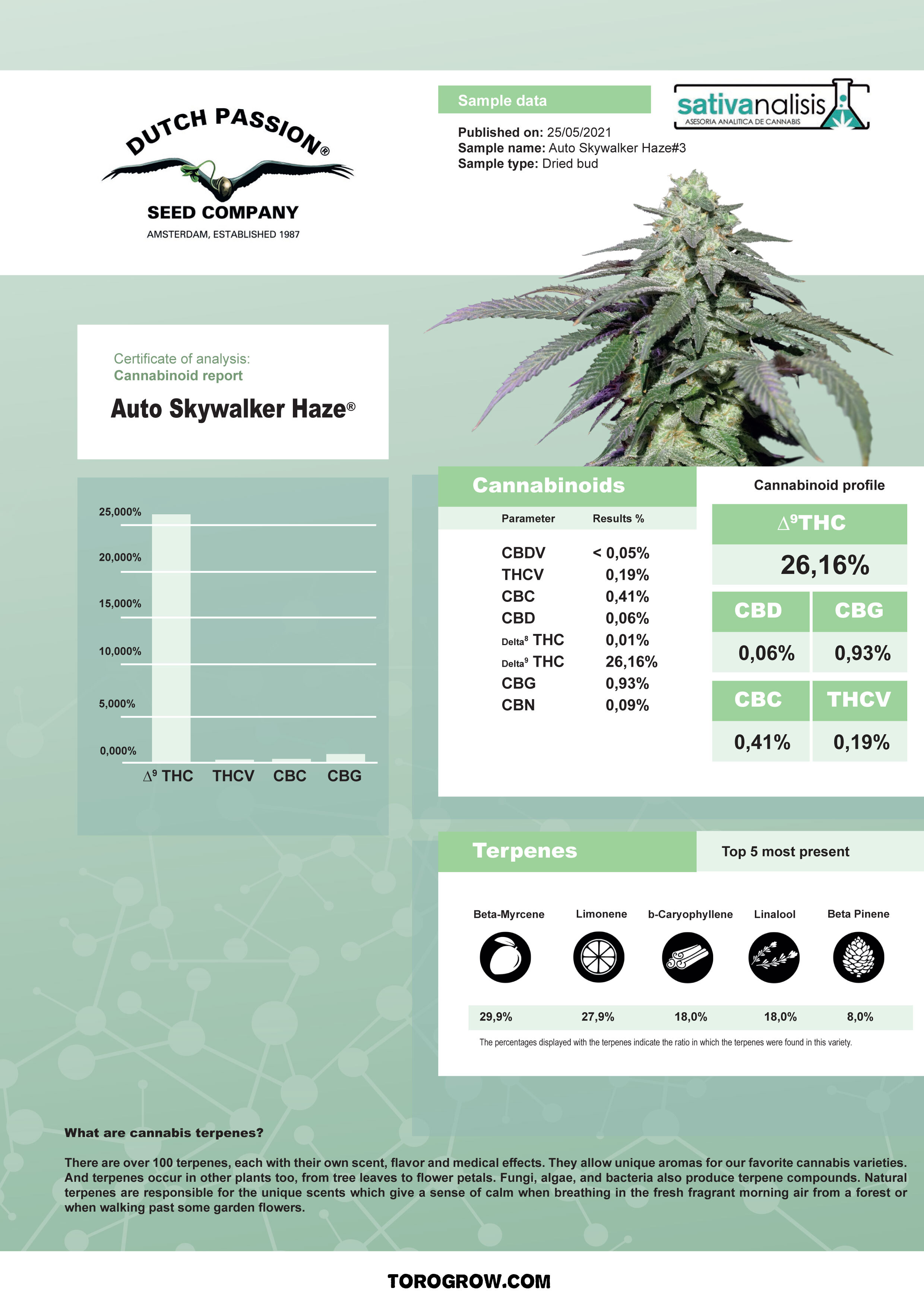 Dutch Passion - Auto Skywalker Haze (auto/fem.) Dutch Passion - Auto Skywalker Haze (auto/fem.)