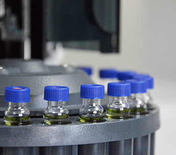 Spanish Seeds - Auto New York Diesel (50 auto/fem.)