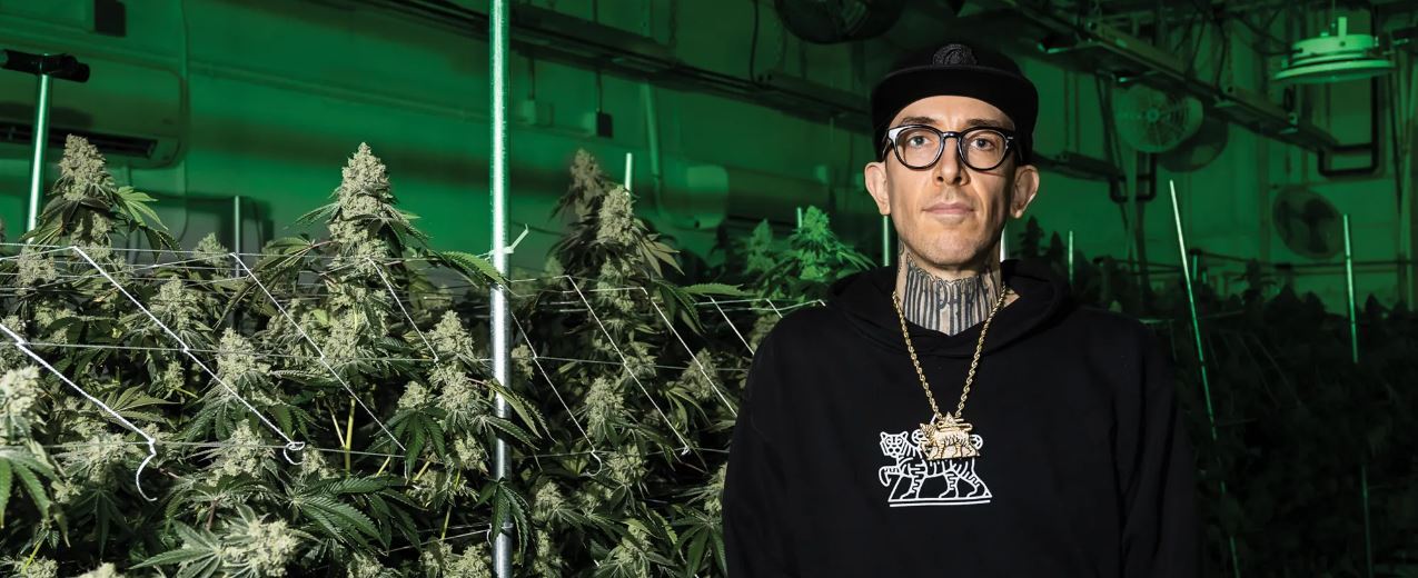 Compound Genetics - Strawberry Skrilla (fem.)