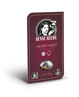 Sensi Seeds - Silver Haze (fem.) 🏆 03913
