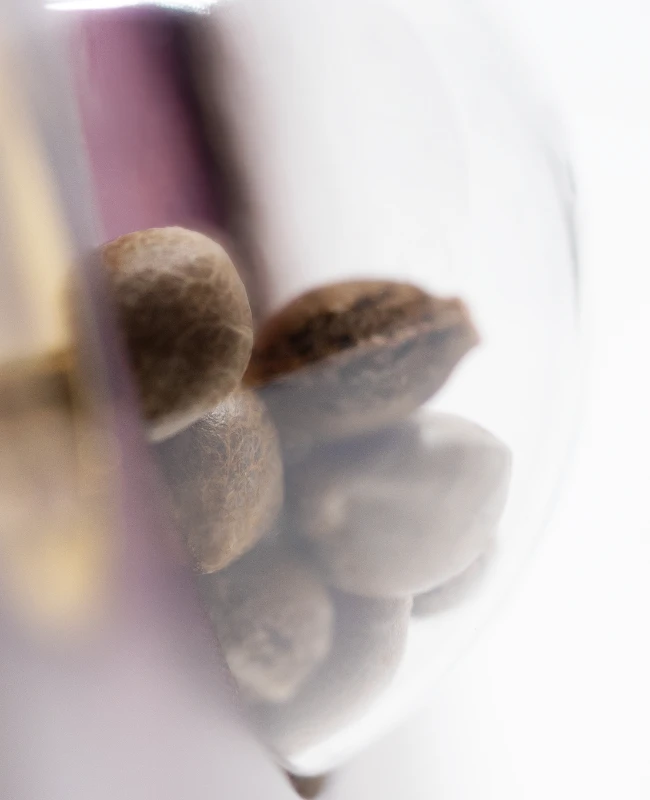 Sensi Seeds - Super Skunk (fem.)