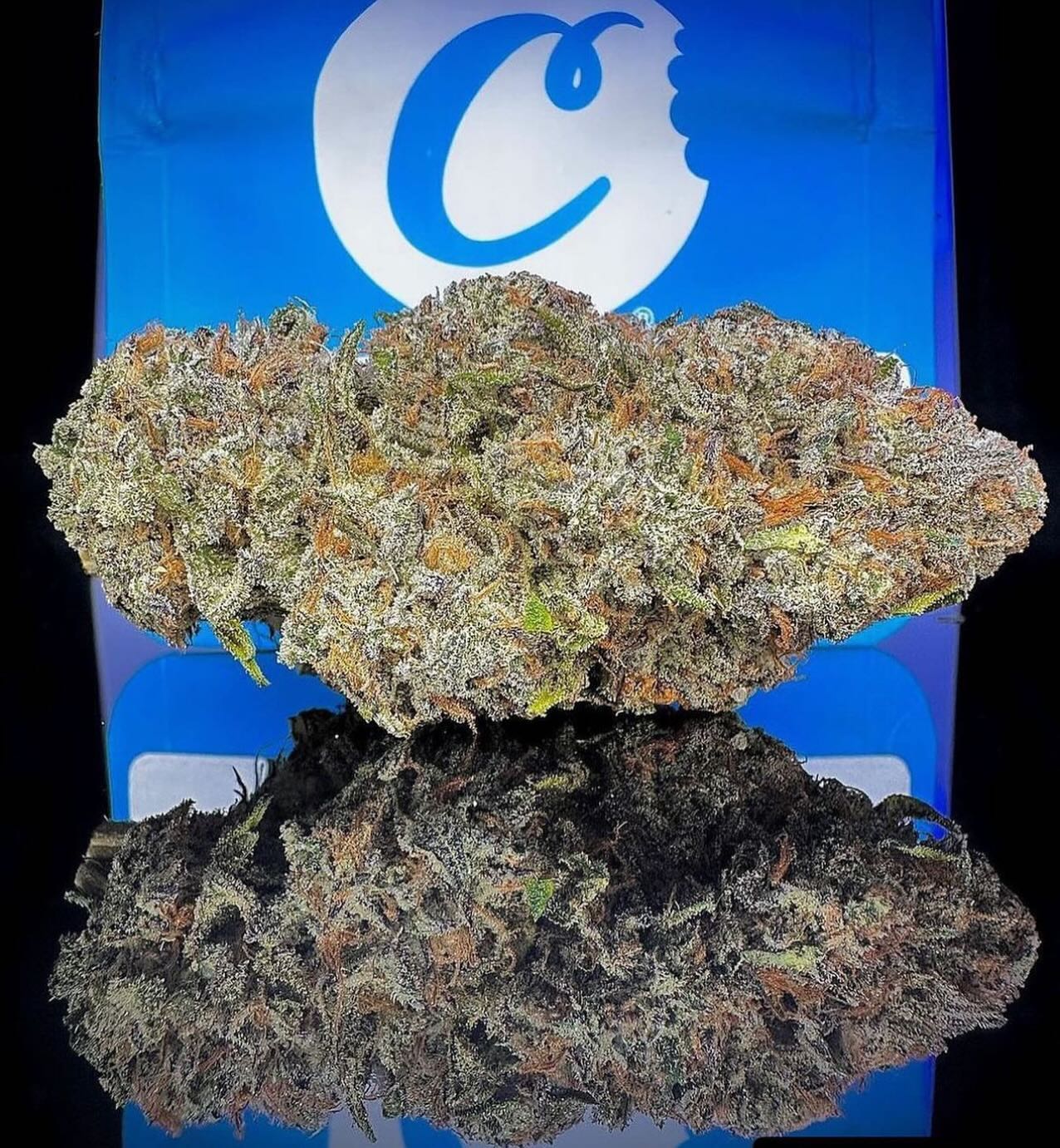 Cookies Seed Bank - Original G.S.C. (Girl Scout Cookies) THC Seeds (fem.) 🇺🇸