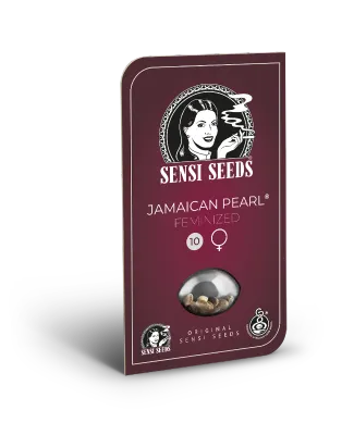 Sensi Seeds - Jamaican Pearl (fem.) 🏆 10875