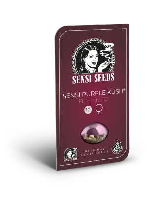 Sensi Seeds - Sensi Purple Kush (fem.) 10879