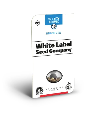 White Label Seeds - White Widow Automatic (auto/fem.) 10936