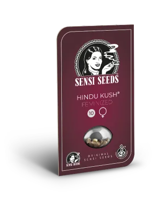 Sensi Seeds - Hindu Kush (fem.) 04959