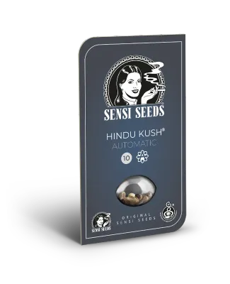 Sensi Seeds - Hindu Kush Automatic (auto/fem.) 04961