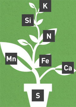 Super Kukulus (универсальное удобрение для защиты и развития каннабиса)