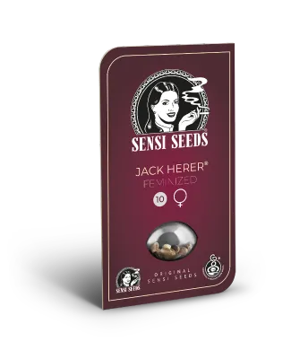 Sensi Seeds - Jack Herer (fem.) 🏆 05425