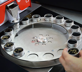 Spanish Seeds - OG Kush x OG Kush (50 fem.)