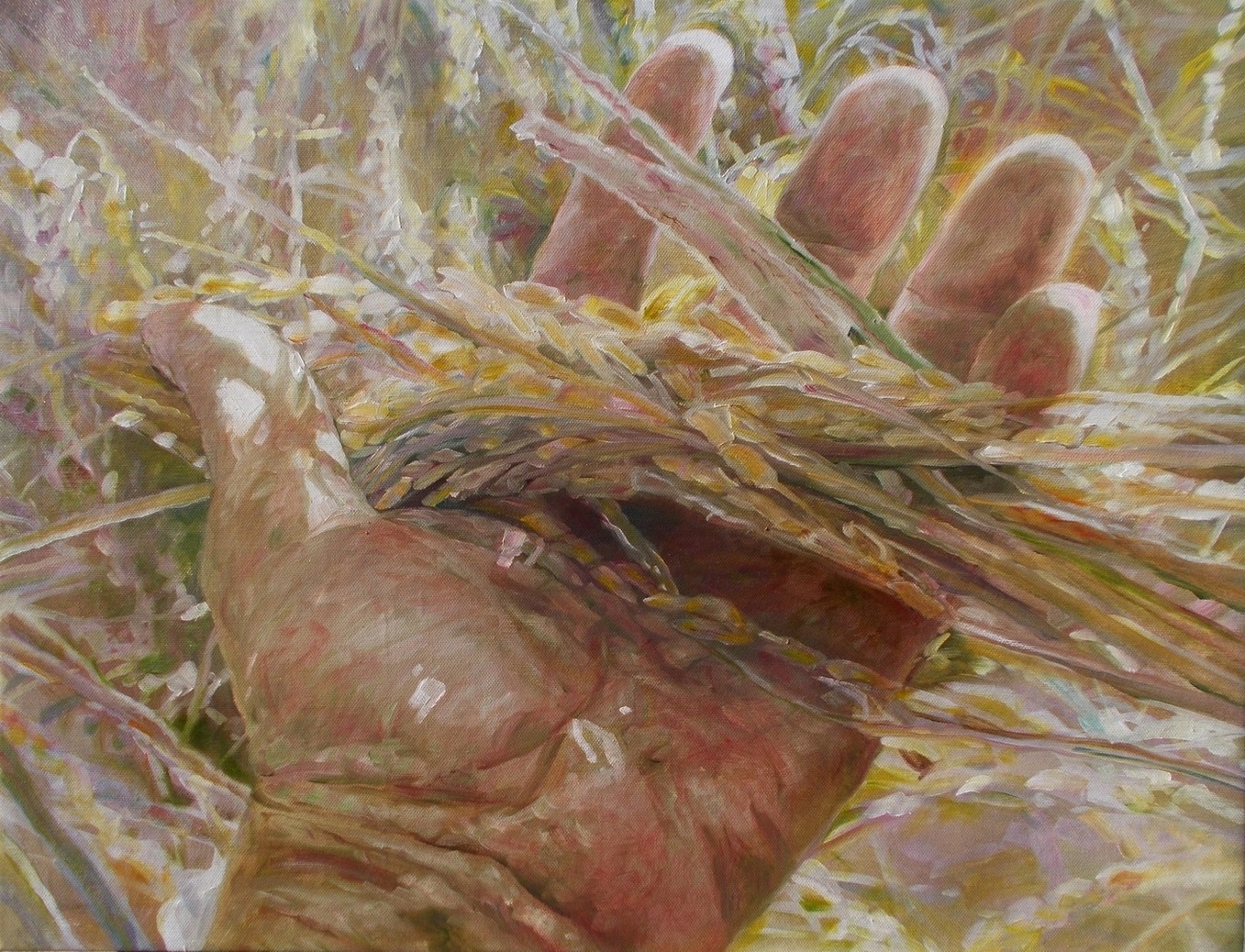 Harvest I