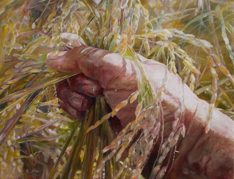 Harvest II