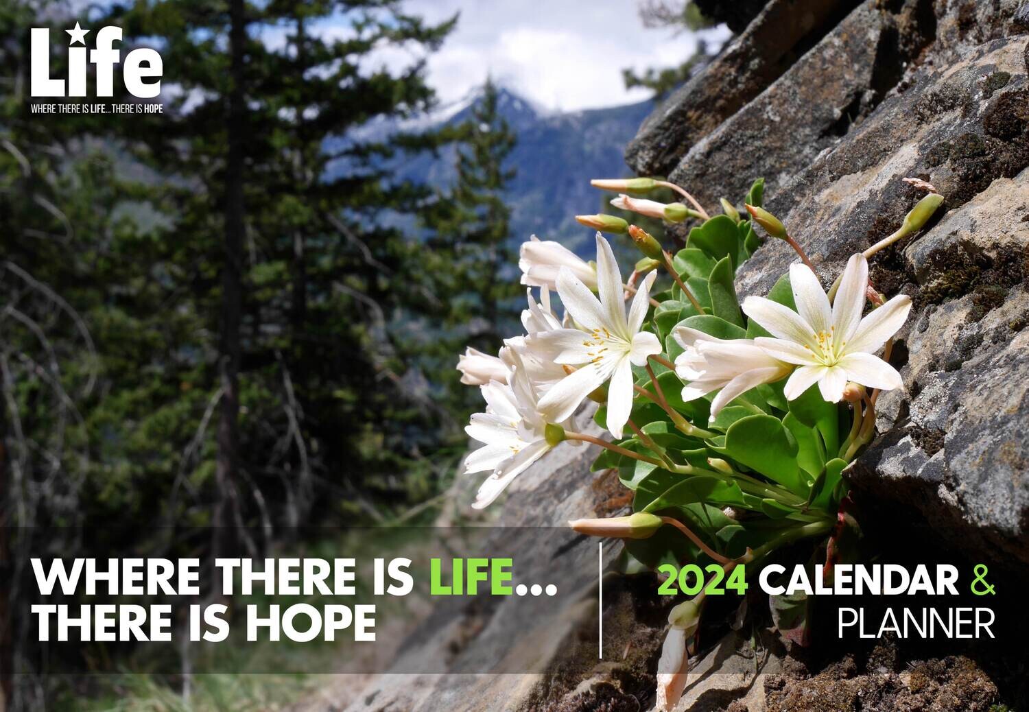 LIFE 2024 Calendar (Already Received)