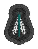 The Last of the Bugs Patches - Sad Damselfly