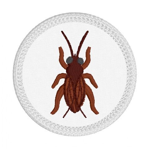 The Last of the Bugs Patches - Cricket