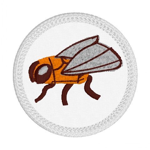 The Last of the Bugs Patches - House Fly