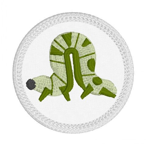 The Last of the Bugs Patches - Inch Worm