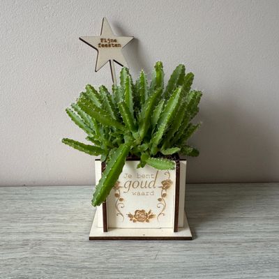 Pennenhouder/bloempotje