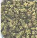 Serenity Trading GMO Cookies 3.5g Flower