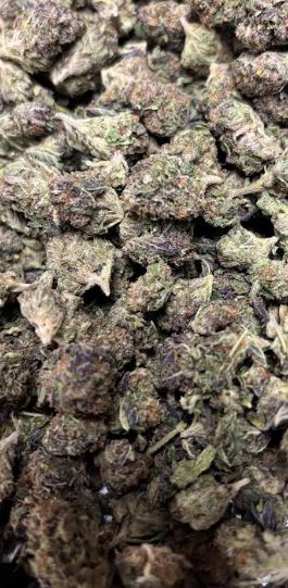 Serenity Trading | 3.5g | Sativa |Tropicana Cookies