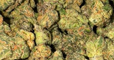 Serenity Trading | 1g | Indica | Cherry Biscotti