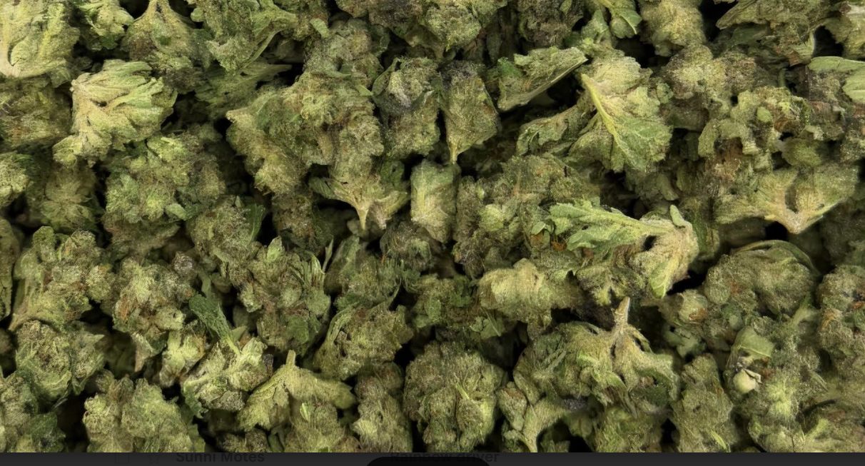 Serenity Trading | 1g | Indica | Ghost OG