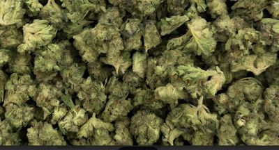 Serenity Trading | 1g | Indica | Ghost OG