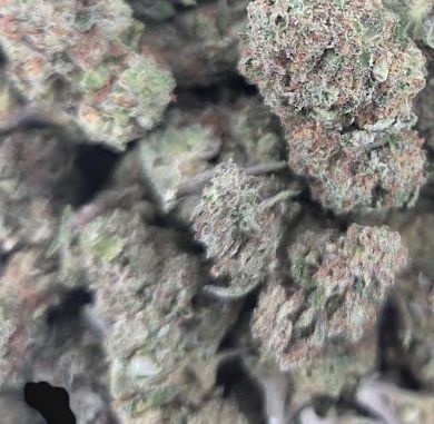 Serenity Trading | 1g | Indica | Blue OG