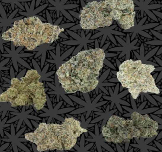 Serenity Trading | Jet Fuel | Sativa | THCP | 1g