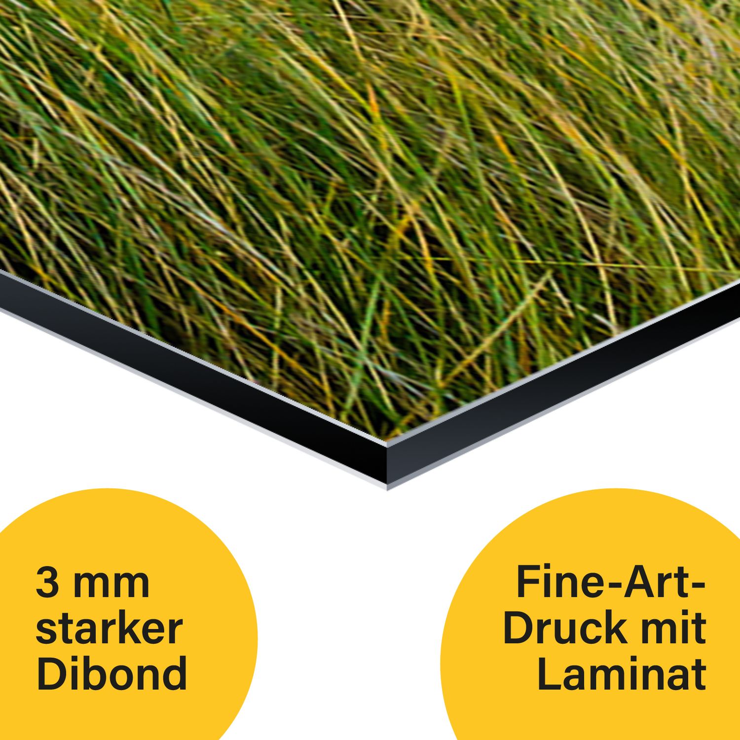 Foto-Dibond Querformat