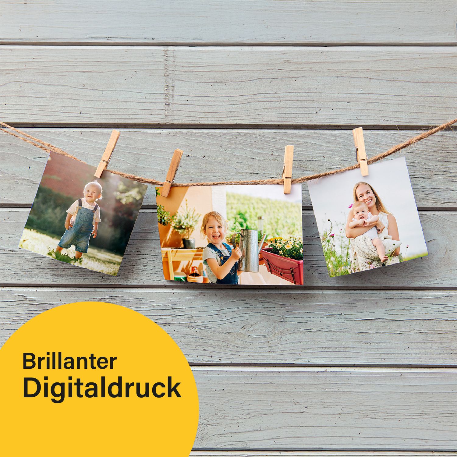 Bilder High Chroma Line