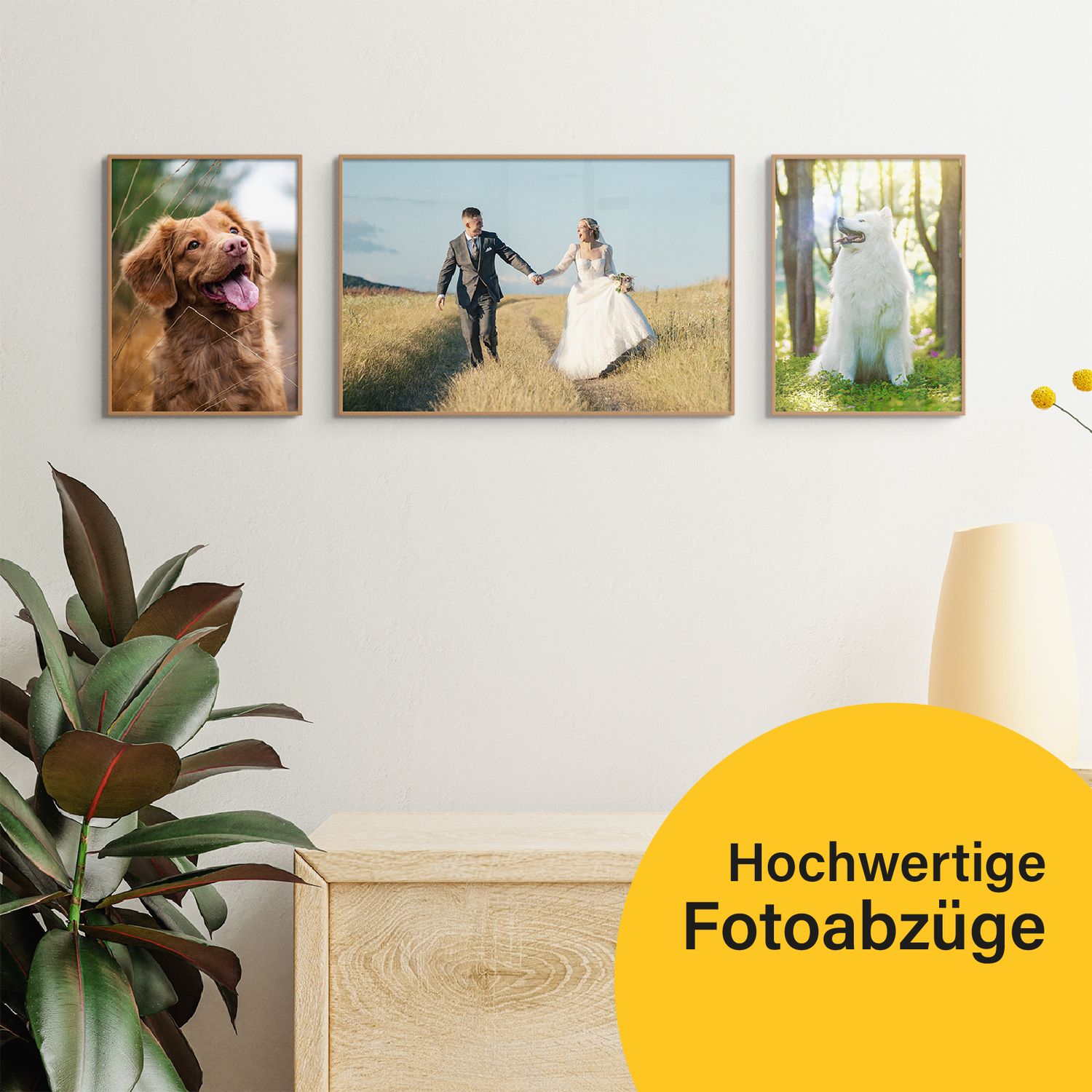 Bilder Studio Line