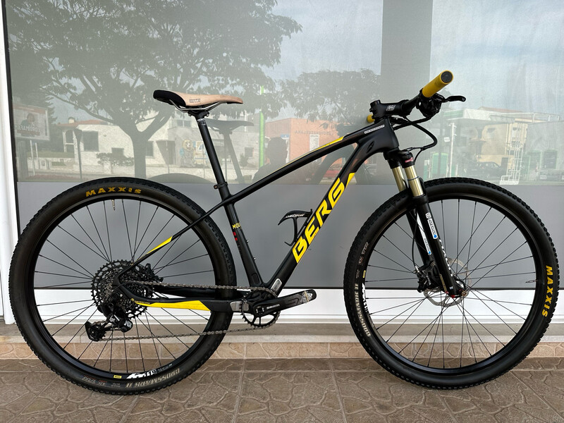 Berg 29 - Carbono