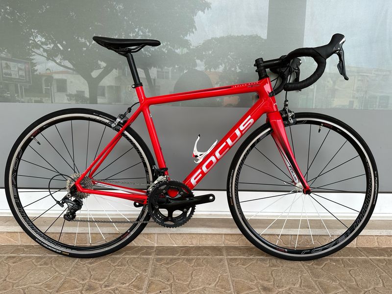 Bicicleta Focus (M/54)