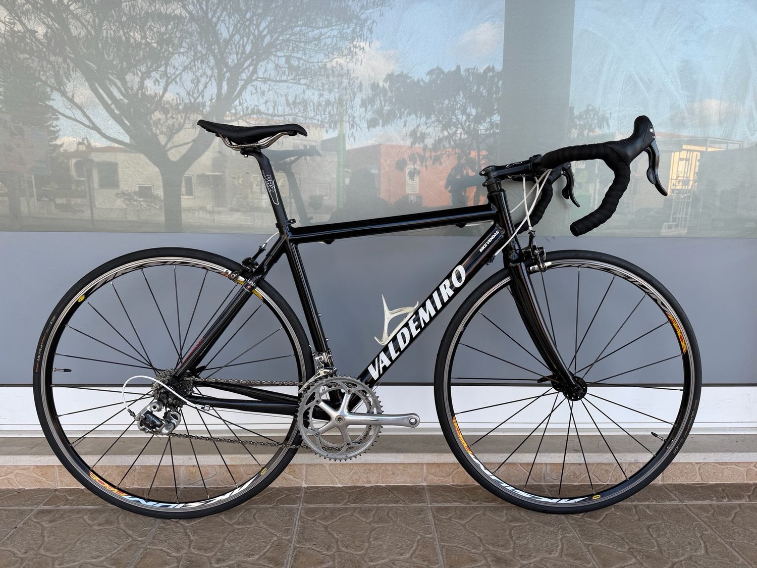 Bicicleta Valdemiro (M)