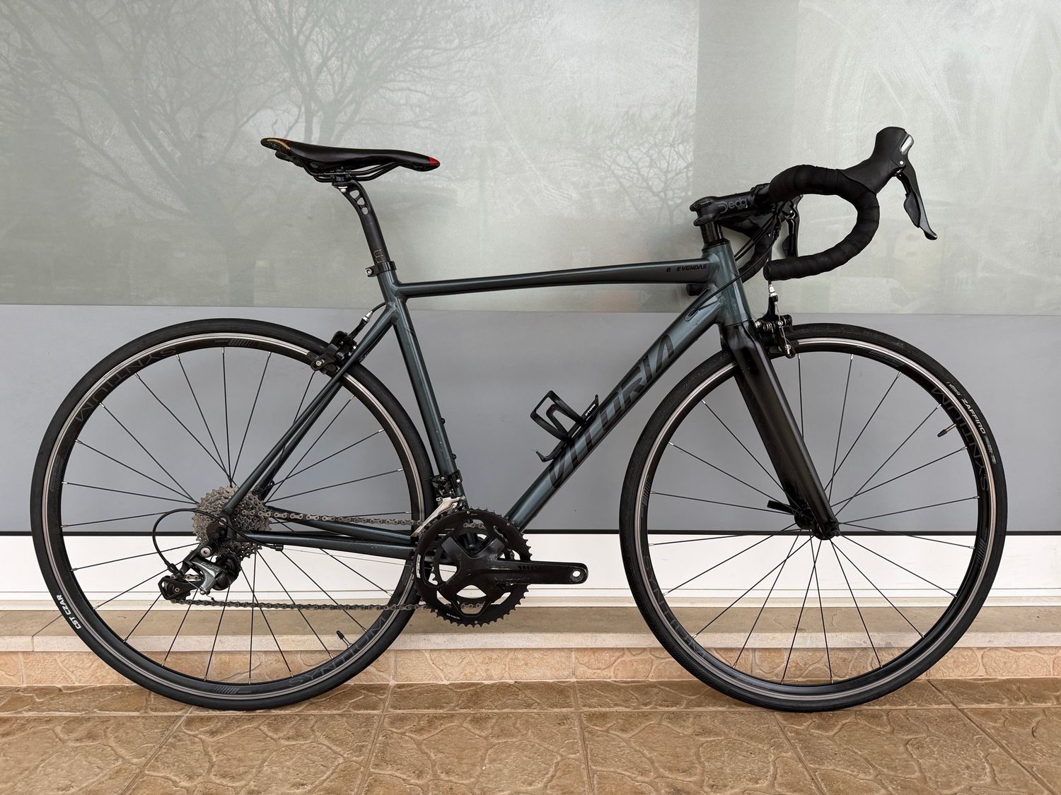 Bicicleta Vitória (M)