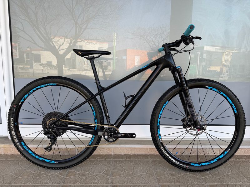 Focus Raven 29 (S)