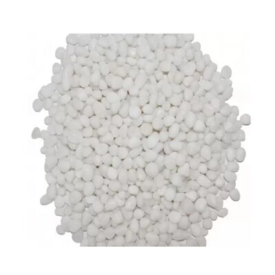 CAP White Pebbles Stones for Fish Tank Decoration | 1.5inch