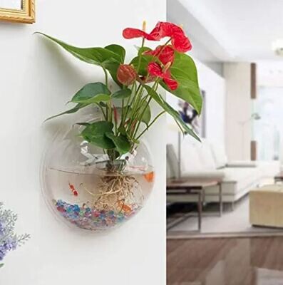 WALL HANGING FISH BOWL┃Size 9 Inch